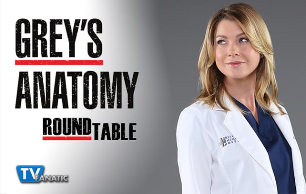 greys anatomy round table