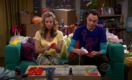 Big bang theory season 2 episode 18 dailymotion outlet