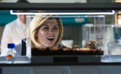 Doctor Who Season 11 Episode 4 Review: Arachnids in the UK