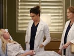 Amelia Takes the Case - Grey's Anatomy