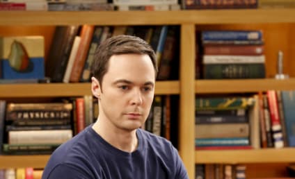 Watch The Big Bang Theory Online: Season 11 Episode 3