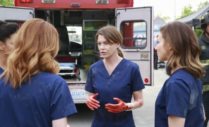 Grey's Anatomy Season 11 Episode 23 Review: Time Stops