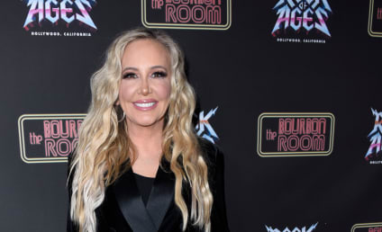 Shannon Beador, RHOC Star, Arrested for Hit-And-Run, DUI
