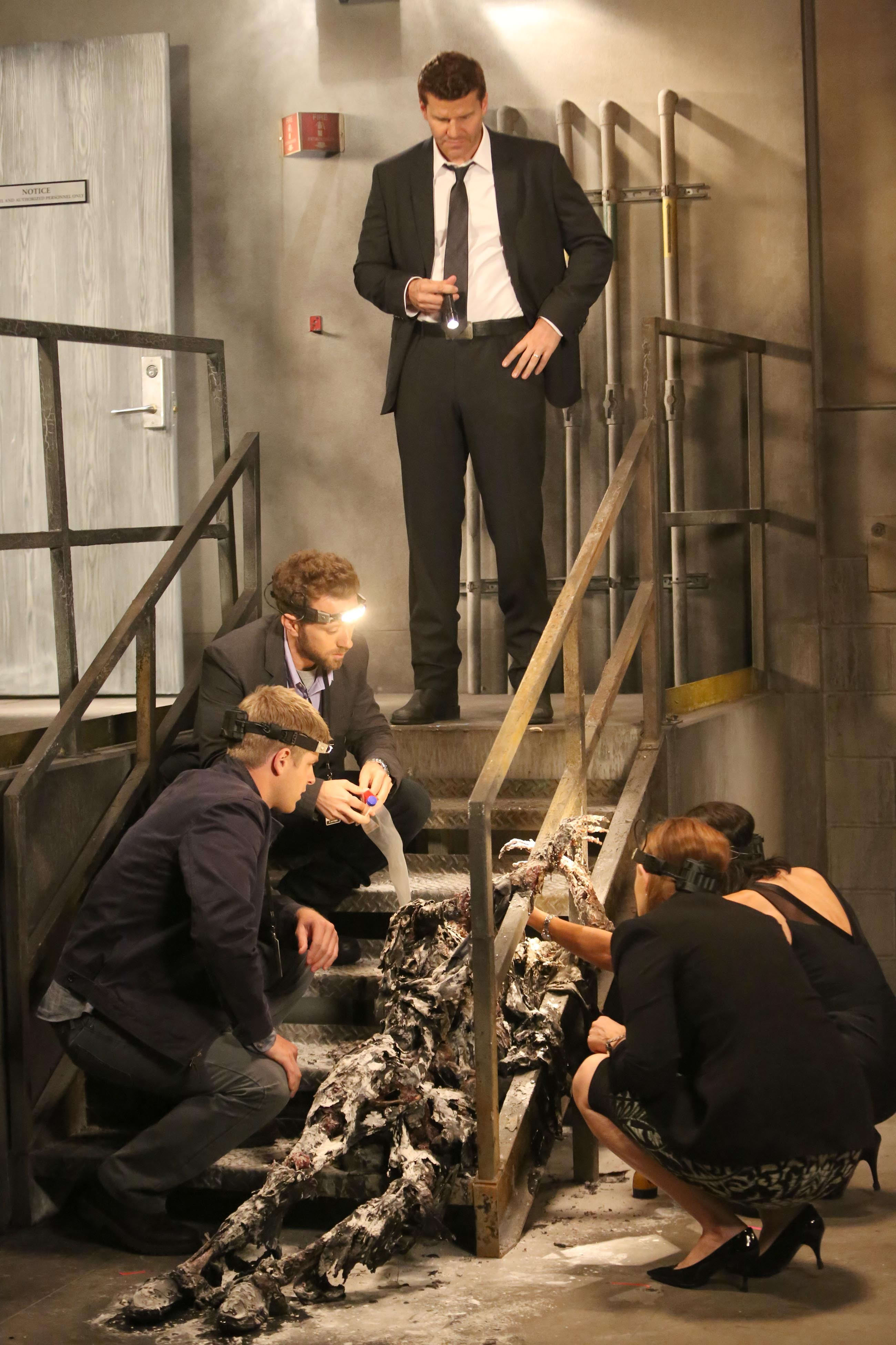  Bones David Boreanaz as Agent Booth and Tamara Taylor as Dr. Camille  Saroyan Looking at David Boreanaz as Agent Booth Talking Inside Museum 8 x  10 Photo : Home & Kitchen