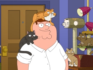 Family guy season 19 episode 5 watch online outlet