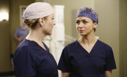 Grey's Anatomy Season 11 Episode 14 Review: The Distance