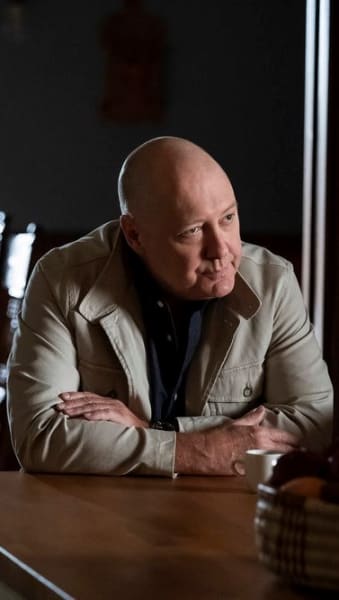 The blacklist season 9