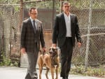 Avoiding the Numbers - Person of Interest