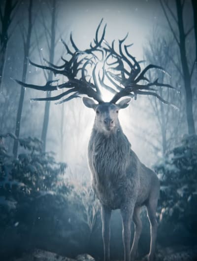 Shadow and Bone Teaser Screengrab 2