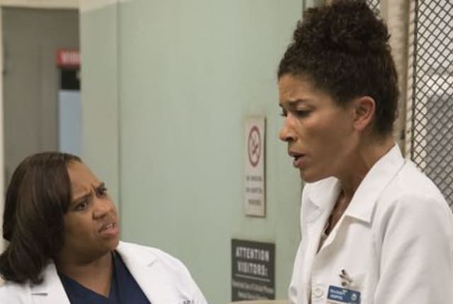 Watch Grey s Anatomy Season 13 Episode 10 Online TV Fanatic