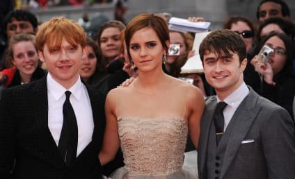 Harry Potter Cast to Reunite for 20th Anniversary HBO Max Special