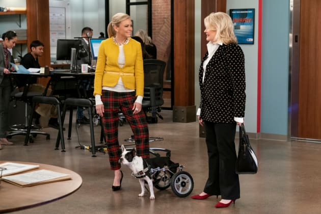 Adopt a Dog - Murphy Brown