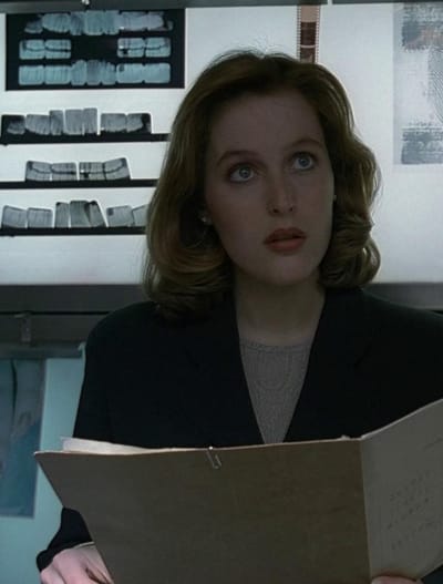 Gillian Anderson on The X-Files