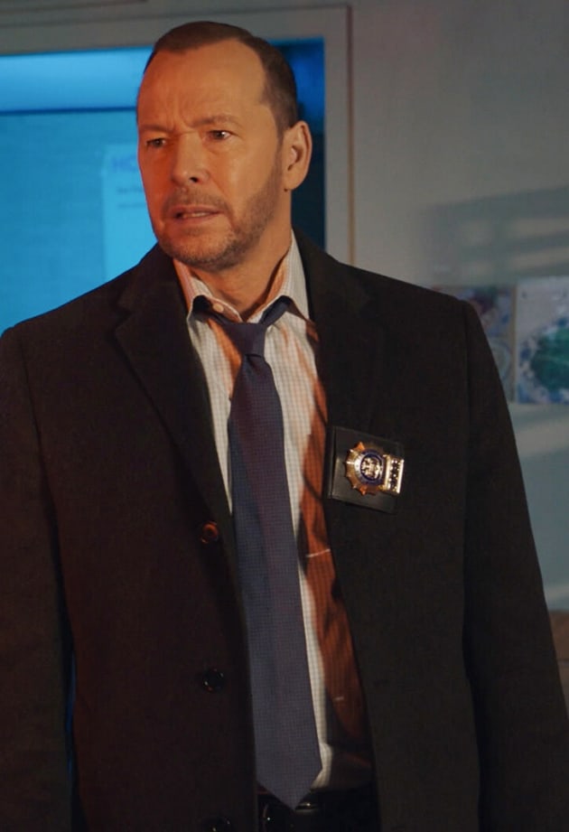 Blue Bloods Fans Hoping for a Cancelation Reversal Will Be Waiting a Long  Time - TV Fanatic