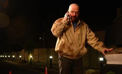 Breaking Bad Review: For Family