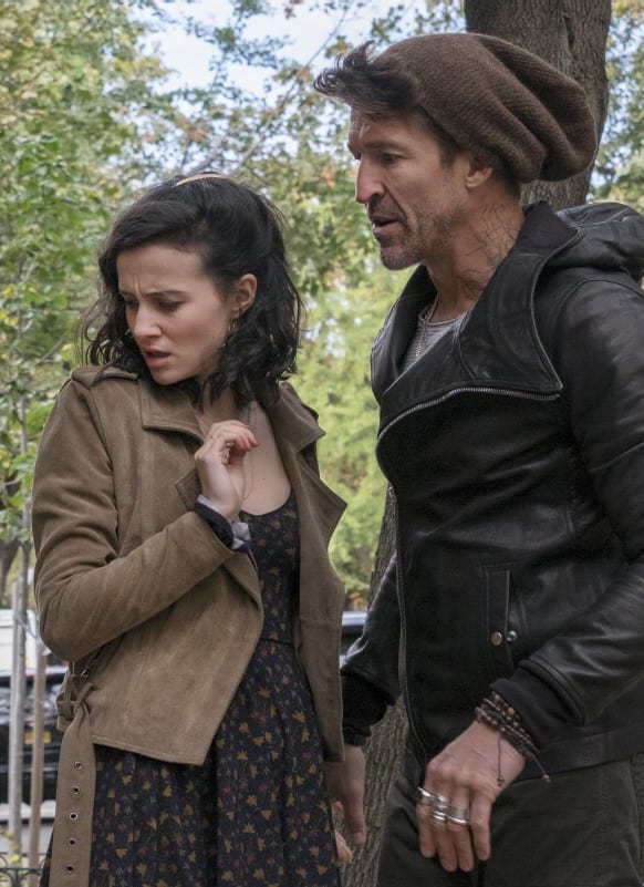 When Kats Attack - The Affair Season 3 Episode 7