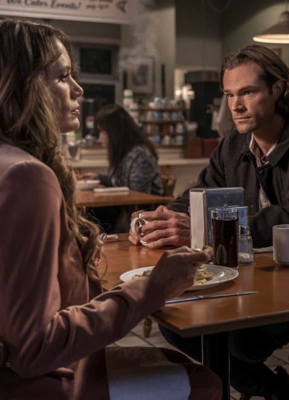 Supernatural s15e15 watch online store