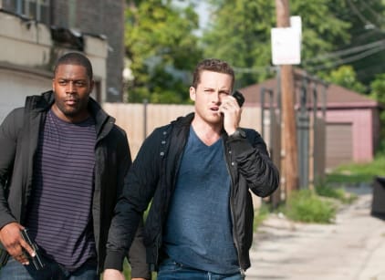 Chicago pd online season 2 putlocker