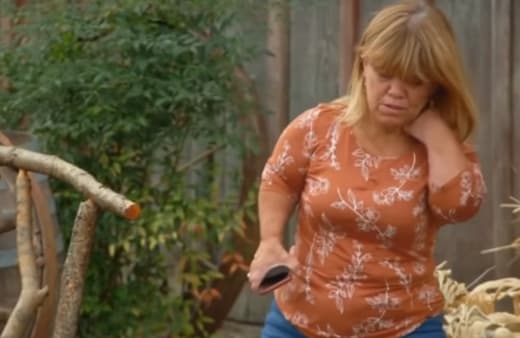 Amy At the Farm - Little People, Big World