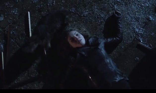 Fake Bruce Pushes Selina Out of a Window