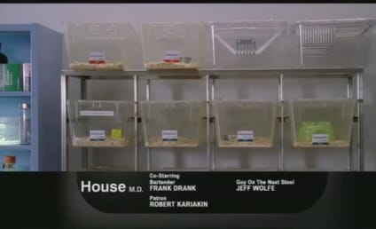 House: Picked Up for Season 8