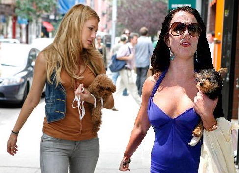 gossip-girl-britney.jpg gossip-girl-britney.jpg