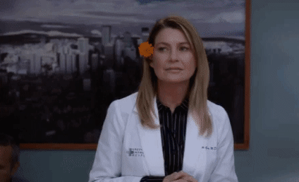 Grey's Anatomy Round Table: MerLink, MerLuca, or Schmico – Which 'Ship Won You Over?! 