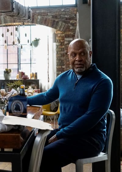 Webber Unemployed - Tall - Grey's Anatomy Season 16 Episode 1