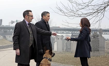 Person of Interest Review: Fairly Lethal