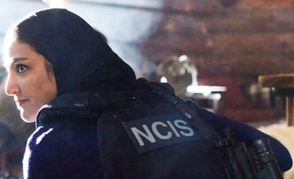 Watch NCIS: Los Angeles Online: Season 14 Episode 11