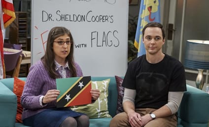 The Big Bang Theory Season 10 Episode 7 Review: The Veracity Elasticity