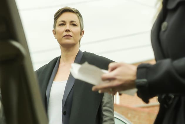 Don T Mess With Linda Barnes Criminal Minds Season 13 Episode 15 Tv Fanatic
