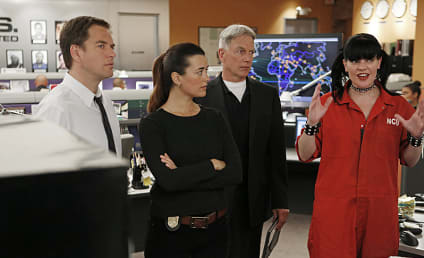 NCIS Review: Hunters and The Hunted