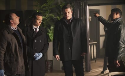 Castle Photo Gallery: Is Castle In or Out?