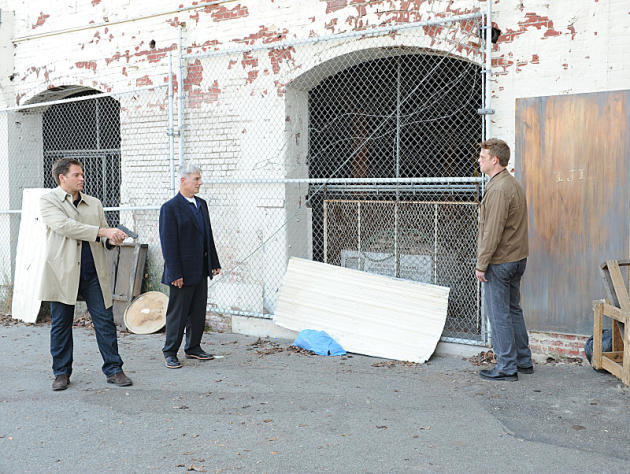 Gibbs, Tony and Westcott