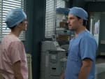 Due DeLucas - Grey's Anatomy