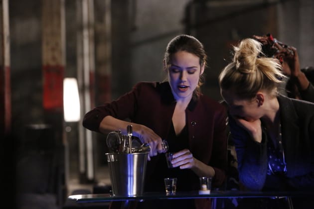 Liz wants to do one more - The Blacklist Season 4 Episode 11