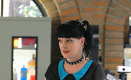 Ncis Season 10 Photos Page 11 Tv Fanatic