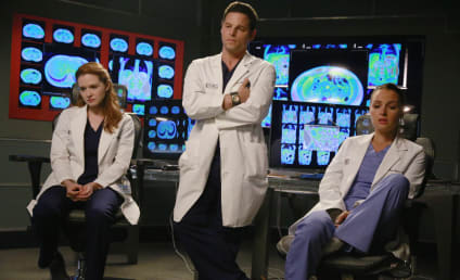 Grey's Anatomy Season 11 Episode 20 Review: One Flight Down