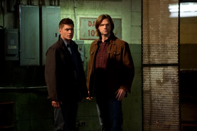 The Zombie Investigation