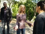Jane Searches for PJ - Ten Days In the Valley