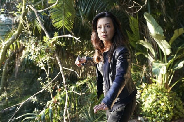 Who Will Survive? - Agents of S.H.I.E.L.D.