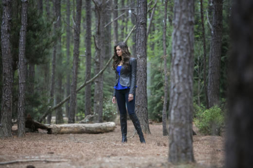 K in Woods