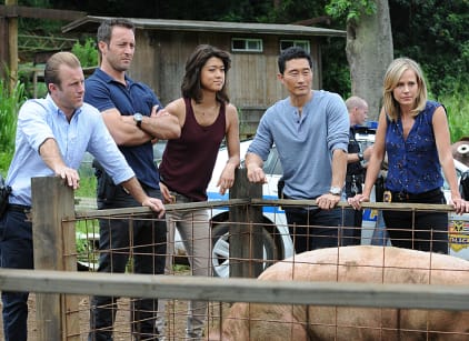 Hawaii five o hotsell season 9 online