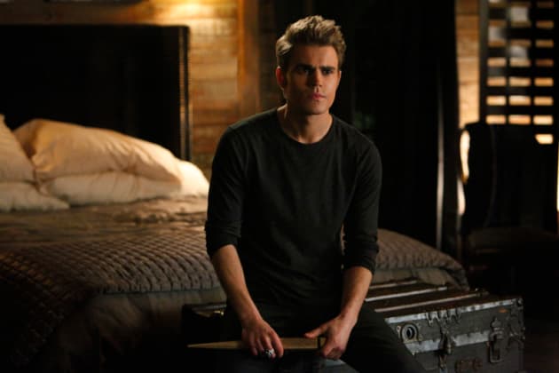 Stefan with a Stake