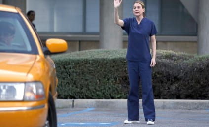 Grey's Anatomy Music: Season 10 Finale