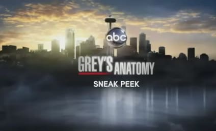 Grey's Anatomy Sneak Peek: "Slow Night, So Long"