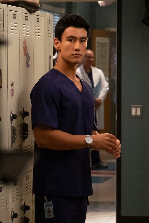 Grey's anatomy 15 x 22 watch online shop