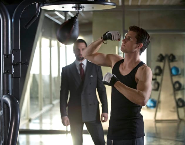 Hitting the Speed Bag