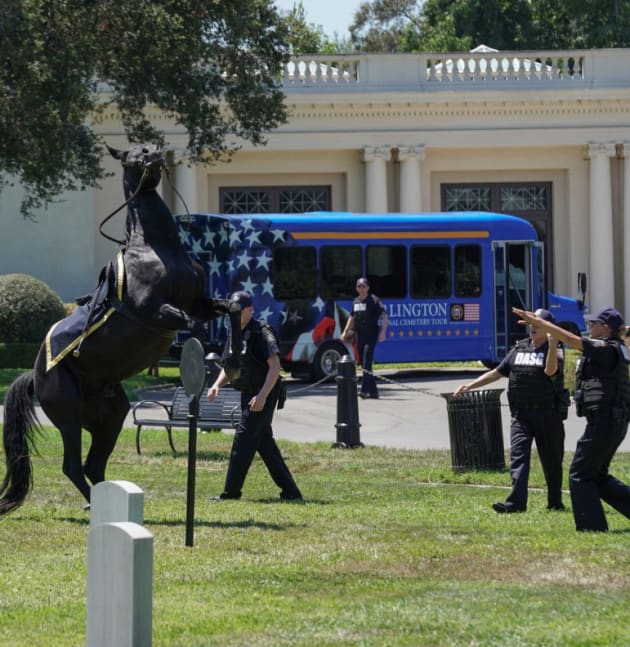 Runaway Horse - NCIS Season 17 Episode 4